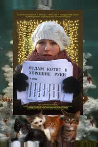 Отдам котят в хорошие руки Отдам котят в хорошие руки